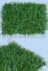 Трава искусственная (газон)