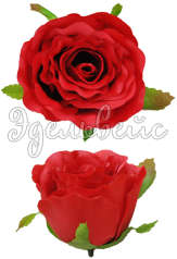 Головка розы красная