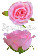 Головка розы розовая