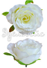 Головка розы белая