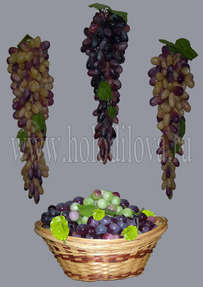 Гроздь винограда большая