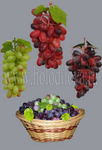 Гроздь винограда  малая