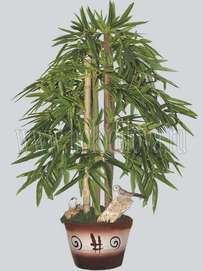 Бонсай бамбук